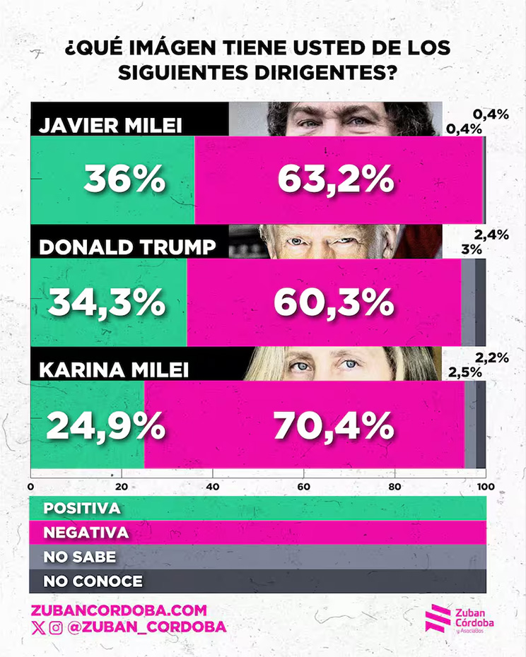 Encuesta Zuban