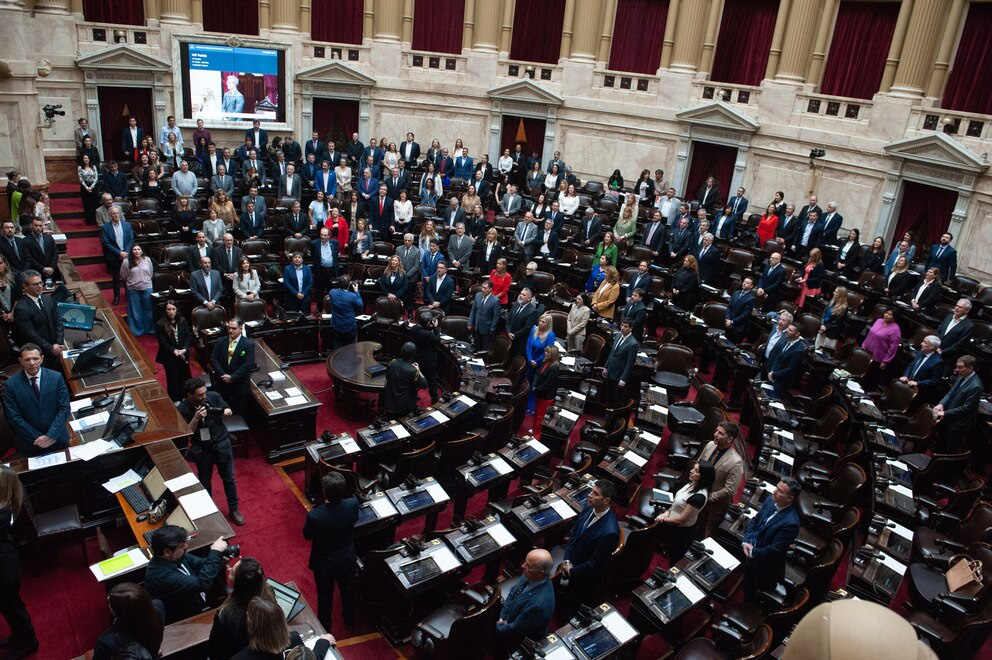 Diputados rechazó los dos vetos del Gobierno.