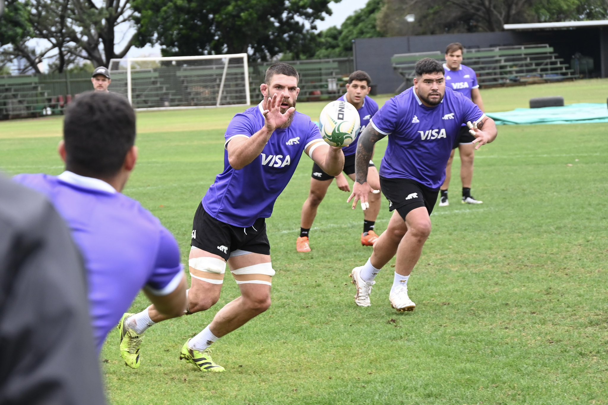 Los Pumas