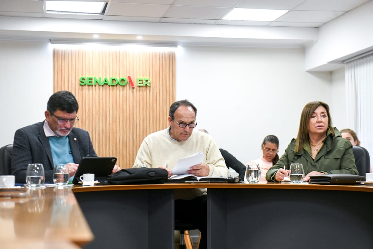 Senadores ER