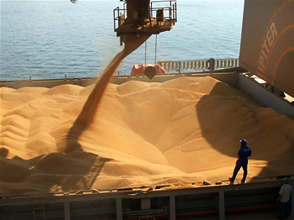 Cereales Puerto de Rosario