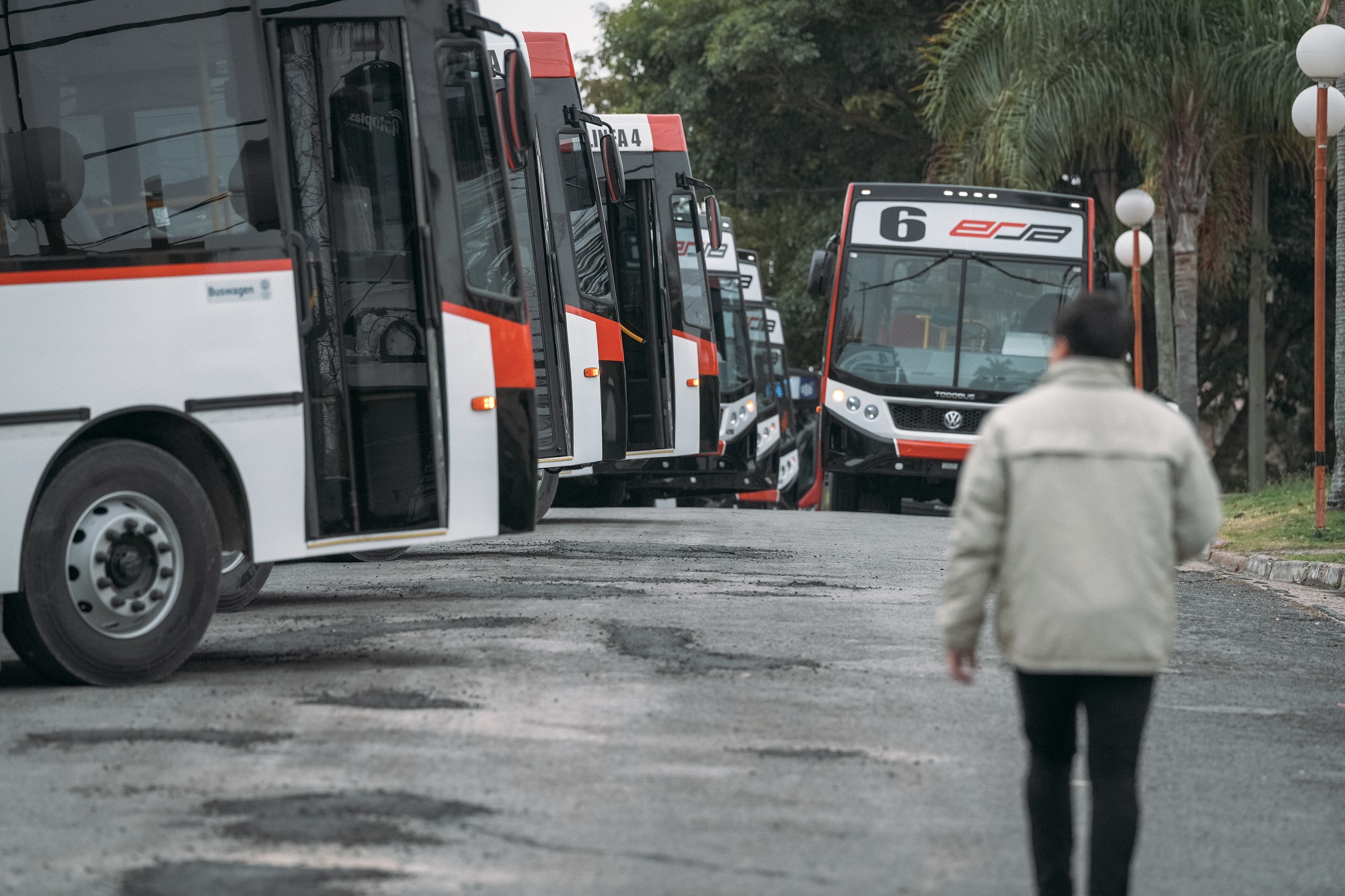 colectivos ERSA