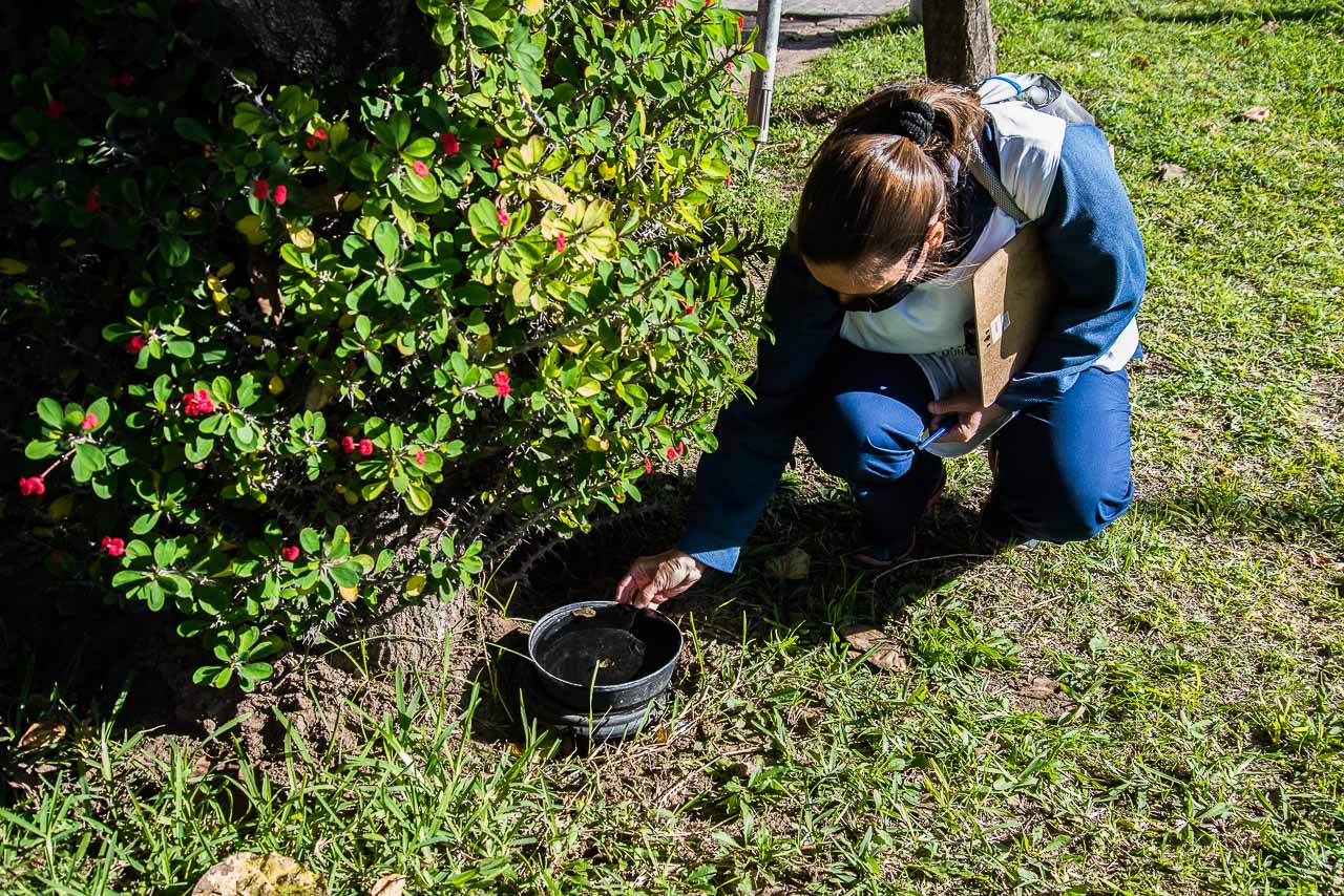 La Paz: aplicaron un bloqueo por dengue. Foto ilustrativa