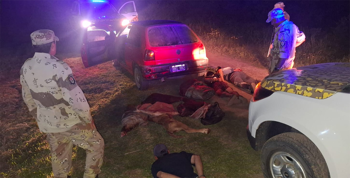 La aprehensión se produjo en la zona Segunda Sección Chacras de Gualeguay.