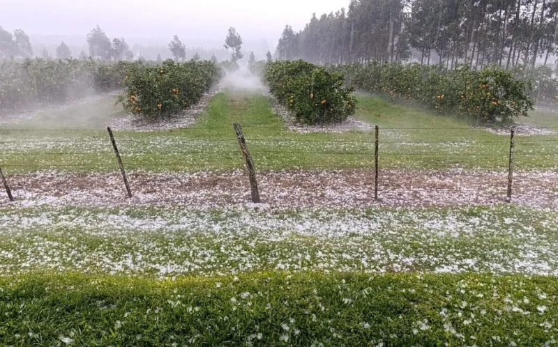 granizada cítricos