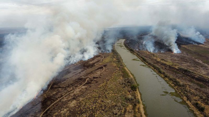 incendios Delta