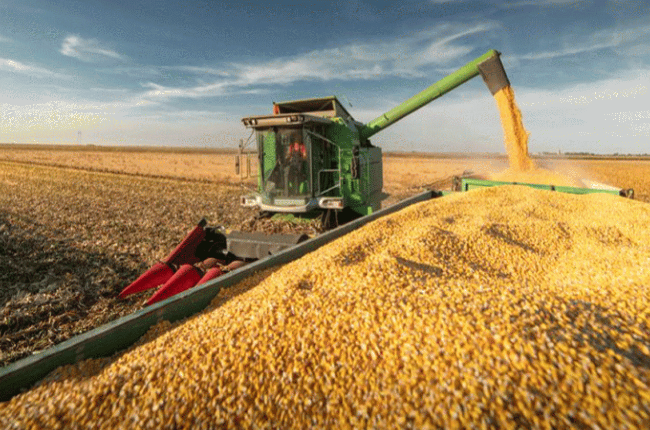 El campo liquidó en el primer semestre la mayor cantidad de divisas en más de 20 años
