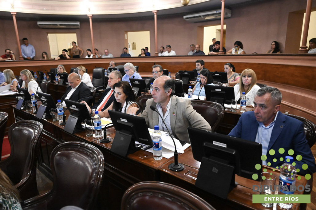 Diputados oficialistas