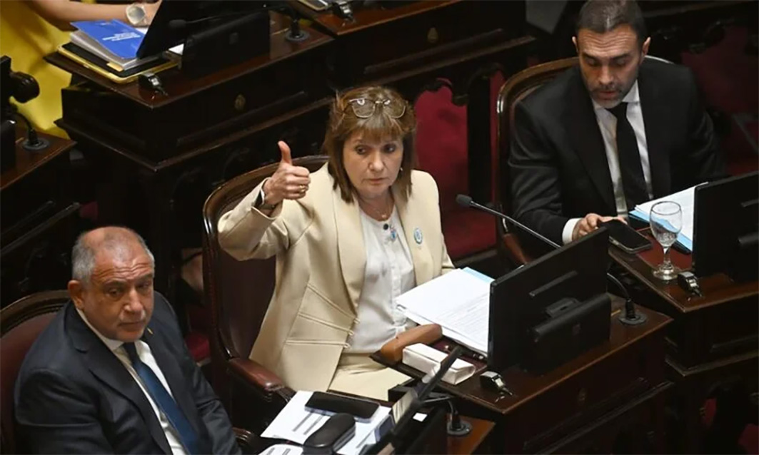 Patricia Bullrich en el Senado 