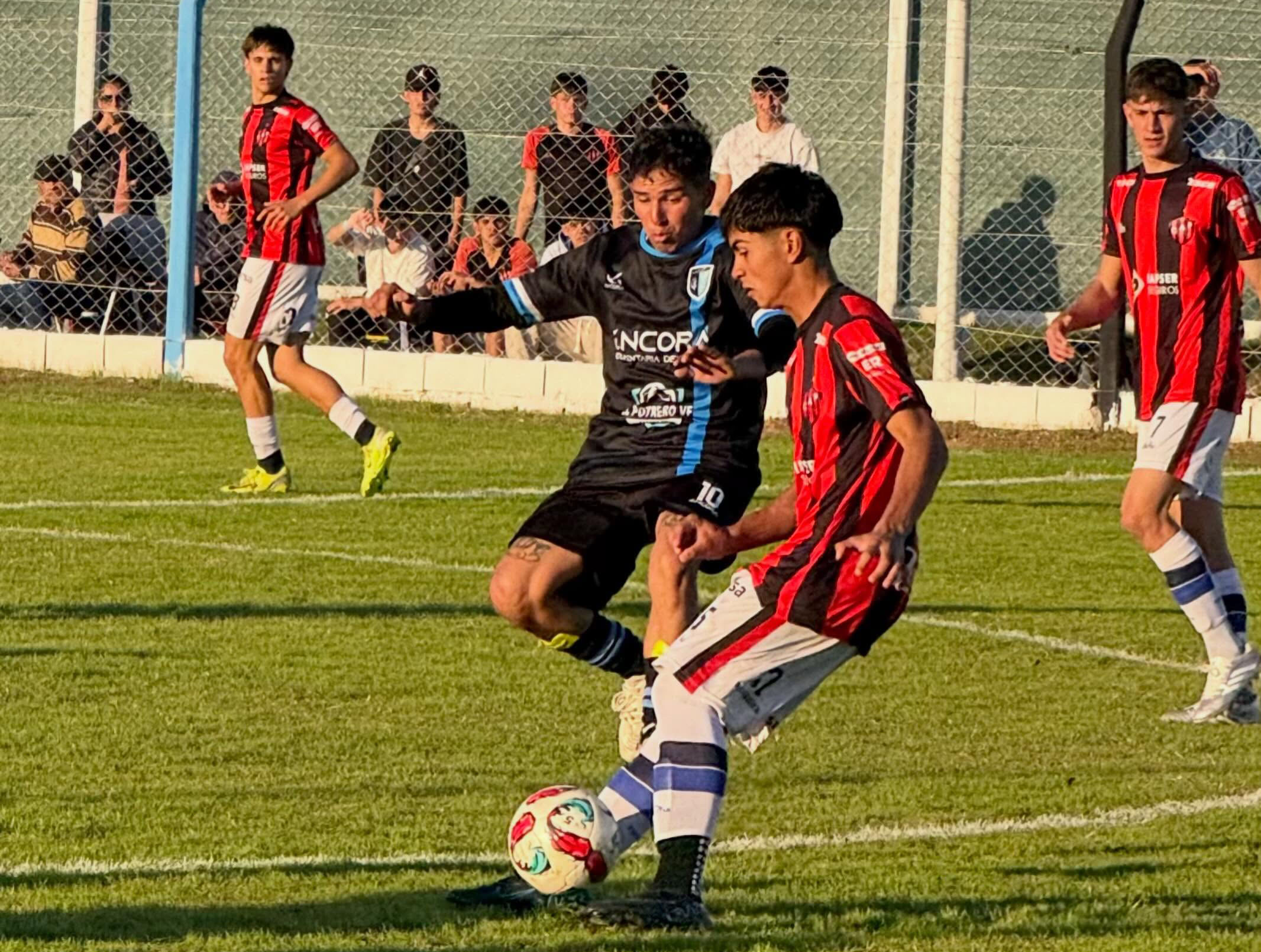Patronato