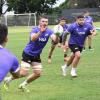 Los Pumas