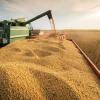 Un estudio de la Bolsa de Cereales de Entre Ríos asevera que los productores entrerrianos invirtieron cerca de 1.202 millones de dólares en los cultivos soja, maíz, trigo, sorgo y arroz, sembrados en el ciclo 2024/25.
