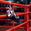 Boxeo Amateur