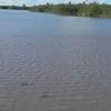 laguna