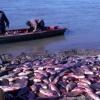 pescadores río Paraná