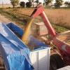 En la Jornada Institucional del Agro se advirtió que para el ciclo 2024/25, Entre Ríos perderá 400 millones de dólares, con foco en los cultivos de soja, maíz, trigo y sorgo.