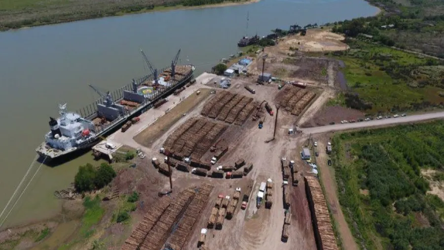 Durante 2020, casi 500 mil toneladas de madera partieron rumbo a China desde Ibicuy