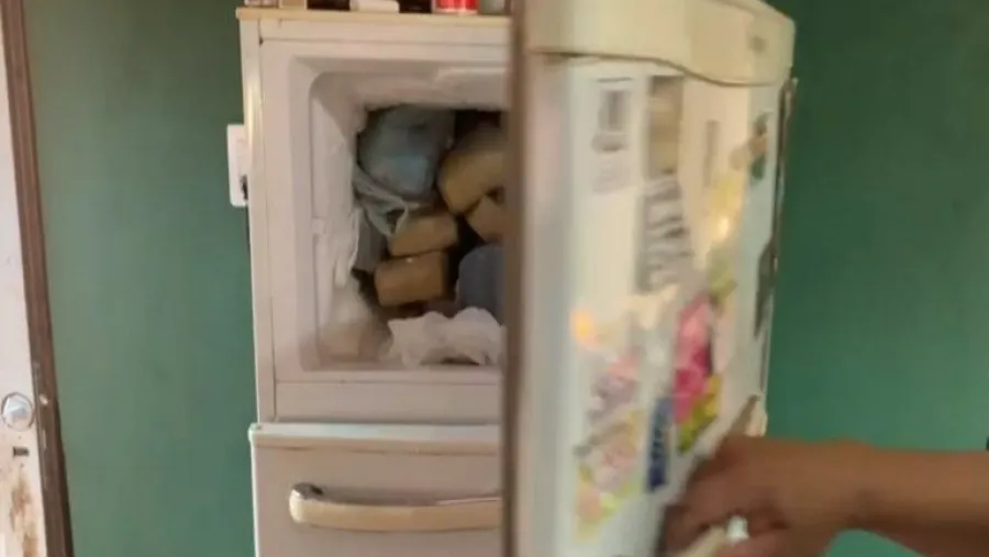 Hallaron más de 10 kilos de marihuana ocultos en un freezer en Concepción del Uruguay