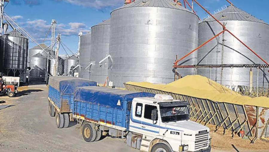 Acopiadores de granos.