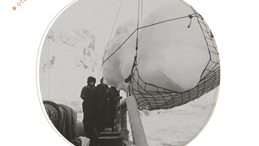 Otoño en la Quimera I