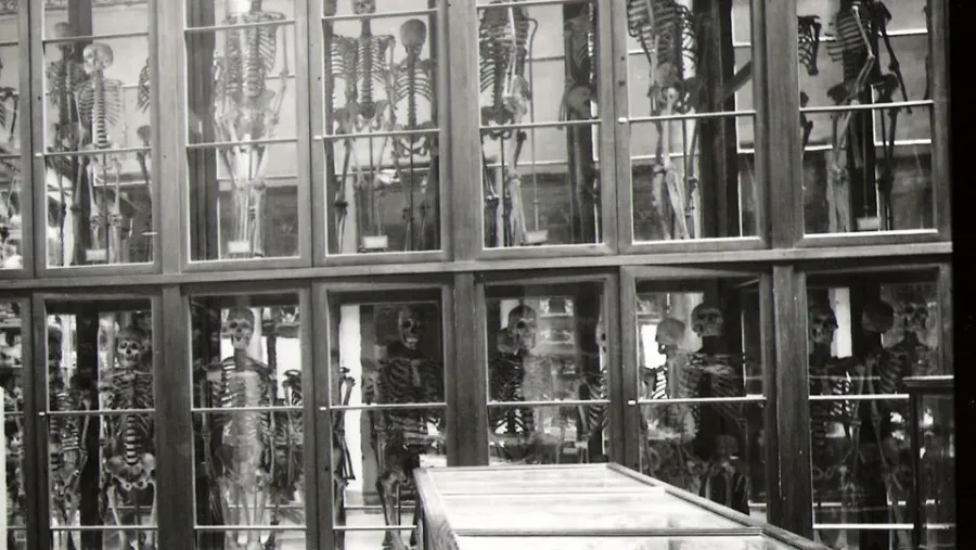 “Prisioneros de la Ciencia”