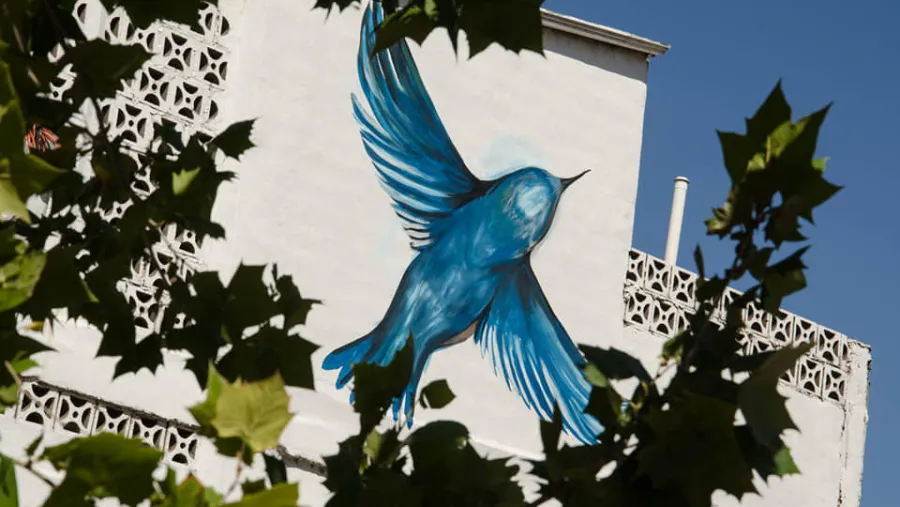 Paseo de los Pájaros 