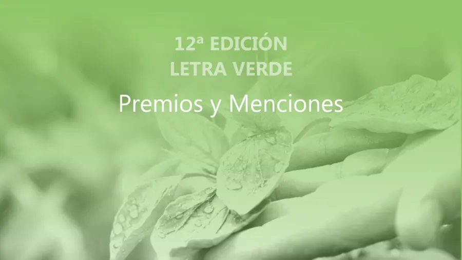Letra Verde Letra Verde