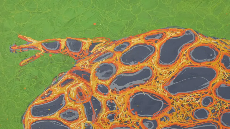 Museo de Bellas Artes y el Museo Casa de Gobierno