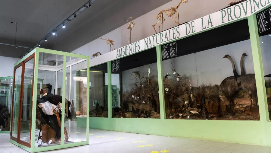 Museo Provincial Antonio Serrano 