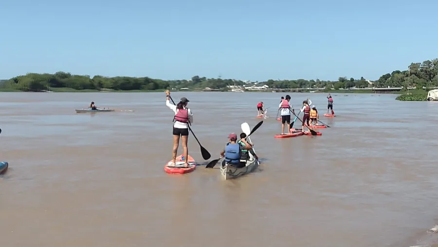Invitan a participar de la Escuela Municipal de SUP para adultos Invitan a participar de la Escuela Municipal de SUP para adultos