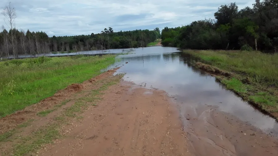 Rally Entrerriano: volvió a suspenderse el inicio del calendario en Estancia Grande
