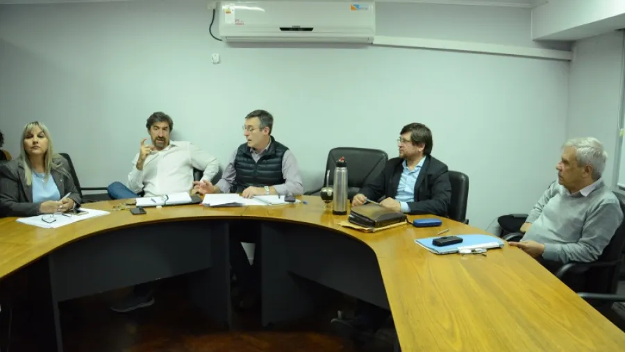 comisión Asuntos Constitucionales del Senado