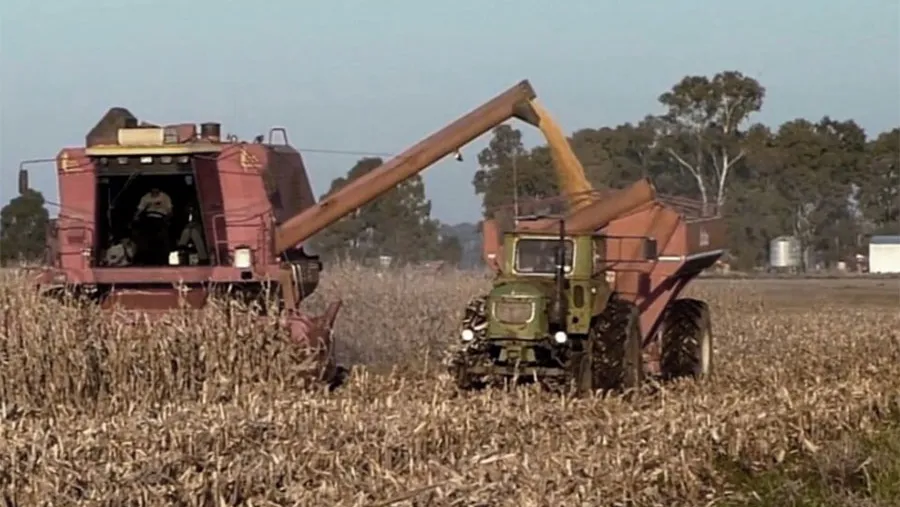 Habrá préstamos subsidiados para pequeños productores que no entraron al dólar soja.
