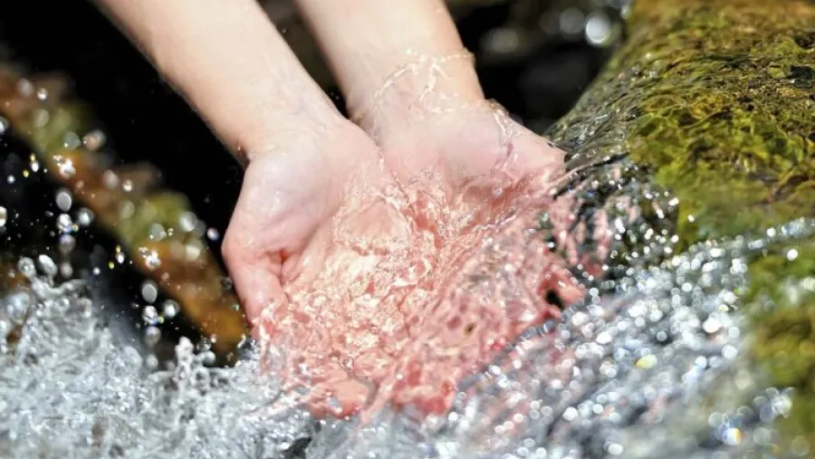 Hacia la protección constitucional del derecho al agua