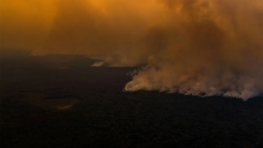Los incendios arrasaron el Norte del Pantanal, en el Estado de Mato Grosso.