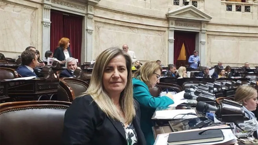 Marcela Antola es diputada nacional por Juntos por el Cambio.