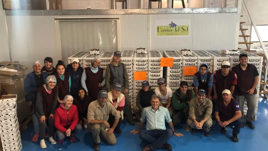Una empresa de Concordia concretó el primer embarque de arándanos a Israel