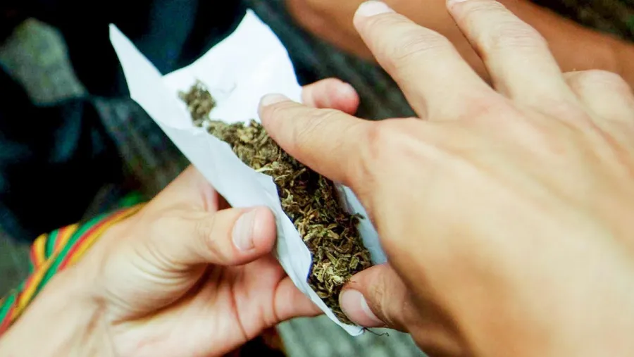 Armando cigarrillo de marihuana