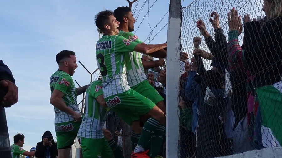 Arse calebra Arse celebra