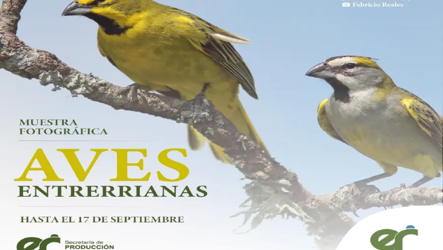 Aves Entrerrianas 
