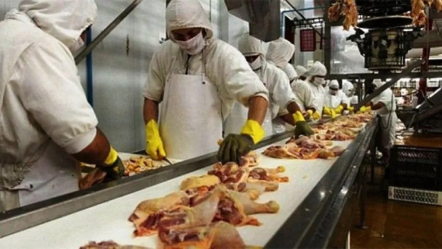 Los productores avícolas recibieron la confirmación oficial del gobierno nacional sobre los primeros resultados favorables de la negociación con China para la reapertura de ese mercado. Los productores avícolas recibieron la confirmación oficial del gobierno nacional sobre los primeros resultados favorables de la negociación con China para la reapertura de ese mercado.