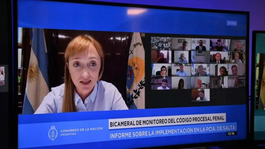 Comisión Bicameral de Monitoreo e Implementación del Código Procesal Penal Federal Comisión Bicameral de Monitoreo e Implementación del Código Procesal Penal Federal