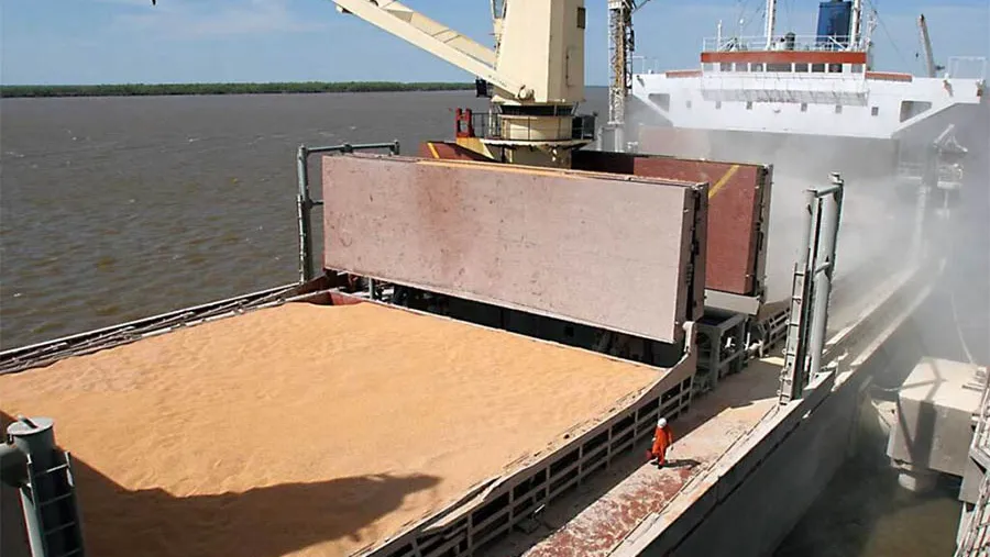 Muchas empresas operan desde la República Oriental del Uruguay para evadir impuestos en la Argentina. El tráfico de granos y cereales es varias veces millonario. Muchas empresas operan desde la República Oriental del Uruguay para evadir impuestos en la Argentina. El tráfico de granos y cereales es varias veces millonario.