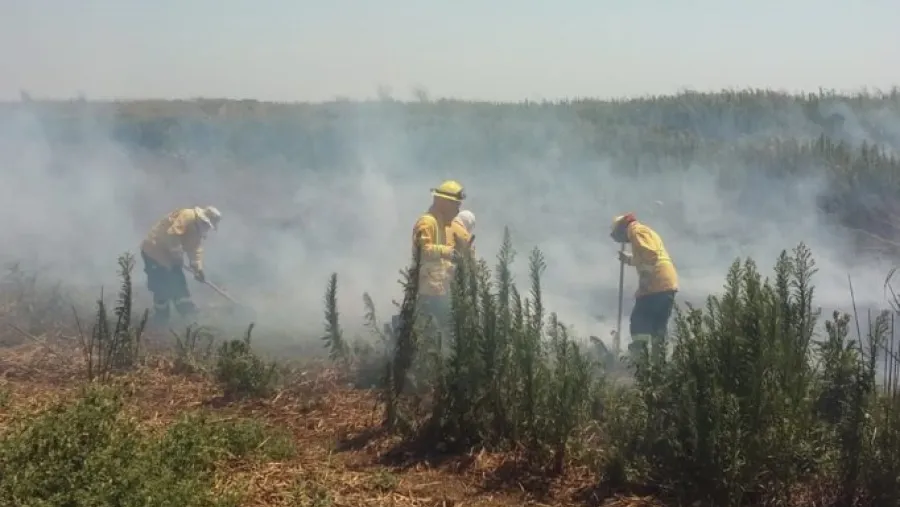Dispusieron un operativo por nuevos focos de incendio registrados en islas del Delta