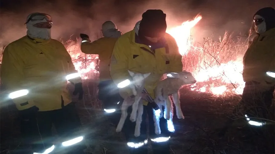 La ministra de Gobierno y Justicia, Rosario Romero, destacó la labor de la Brigada Forestal de la Policía para socorrer y salvar del fuego a una escuela rural ubicada en islas y varias viviendas de la zona. 