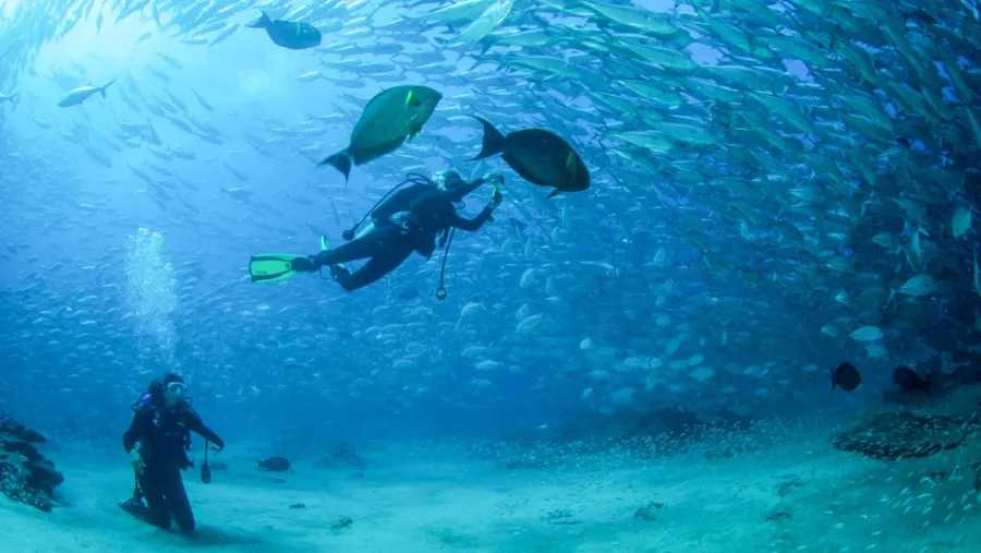 Escuela de Buceo