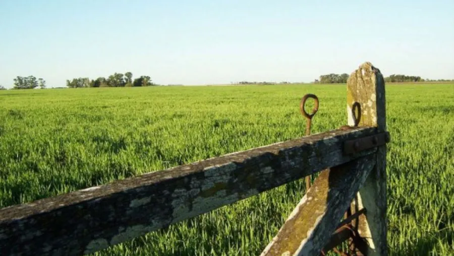 Sector agropecuario.