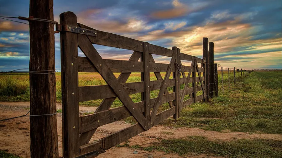La Sociedad Rural Argentina organiza una jornada para analizar los desafíos y las asignaturas pendientes de la actividad agropecuaria. La Sociedad Rural Argentina organiza una jornada para analizar los desafíos y las asignaturas pendientes de la actividad agropecuaria.
