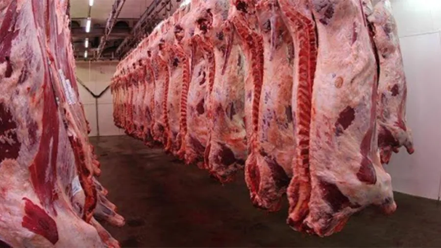 El novillo registró una suba en los últimos 12 meses del 120 por ciento en el mercado de Liniers, El novillo registró una suba en los últimos 12 meses del 120 por ciento en el mercado de Liniers,