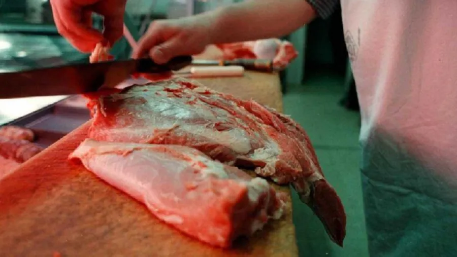 Carne Carne
